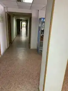 Центральная - 66