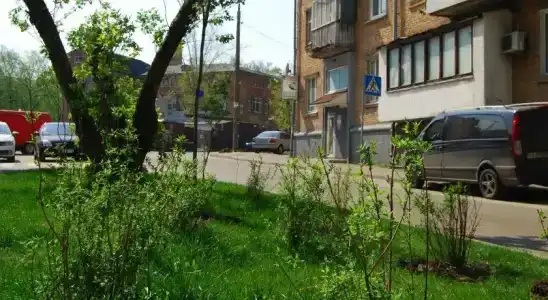 Alla House - 10