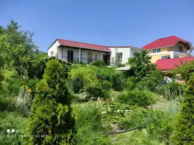 Фиолентовский - 0