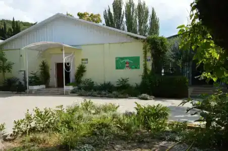 Кипарис - 28