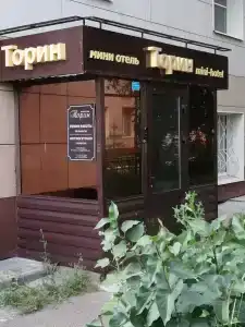 Торин - 9