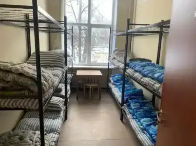 Сова - 4