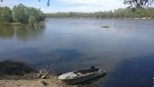 Дары Дона - 40
