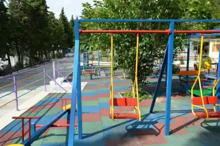 Кипарис - 13
