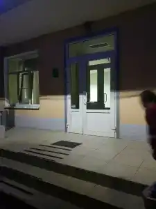 Тюльпан - 4