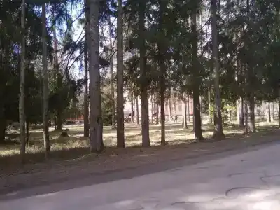 Сосновый Бор - 32