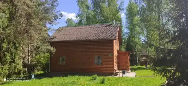 Березовая роща - 35