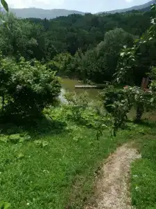 База отдыха у Иваныча - 43
