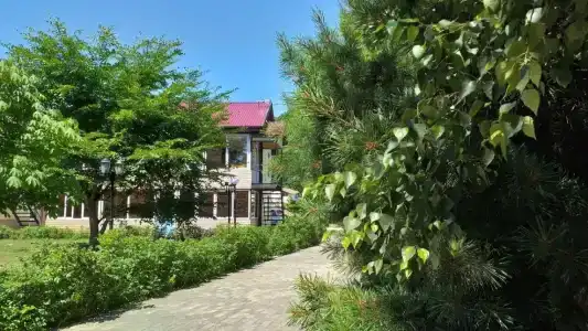 Феникс - 3