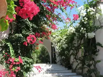 Punta Rossa - 9