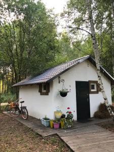 Усадьба Долгорукий - 49