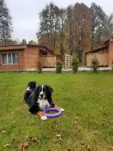 Приокские Зори - 46