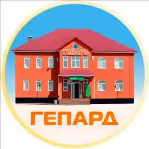 Гепард - 2