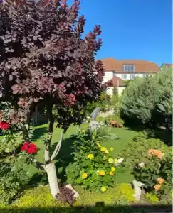 Виктория - 12