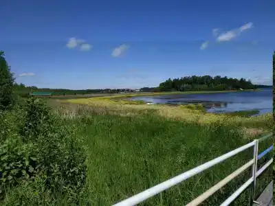 Рассвет - 36