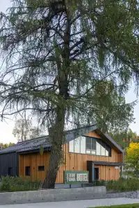 Terve Ranta - 17