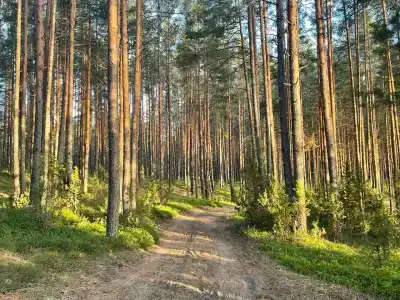 Селигерец - 13