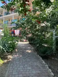 Амир-Дани - 19