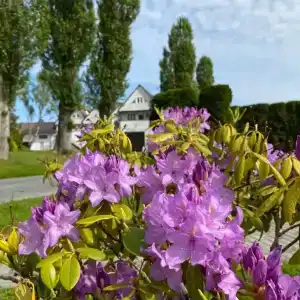 Балтийские пески - 11