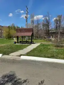 Березки - 100