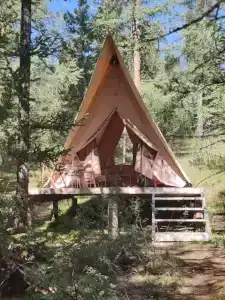 Мир Алтай - 84