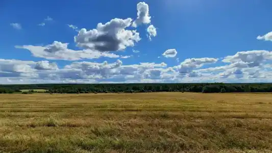 Эко ферма у Гордея - 10