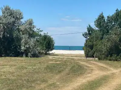 В гостях у Джокера - 40