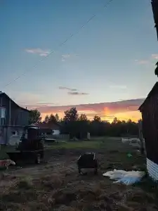 Паллада пастораль - 22