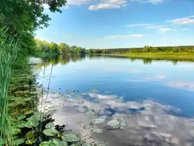 Белые пески - 23