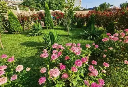 Бумеранг - 13