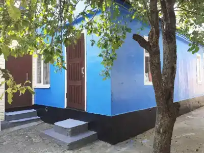В гостях у моря - 3