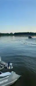 Лес и Рыба - 86