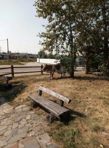 Владимирский край - 14