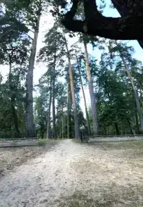 Белое Озеро - 65