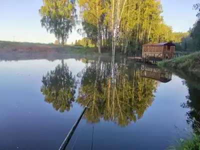 Большая Медведица - 7