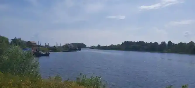 Затон - 12