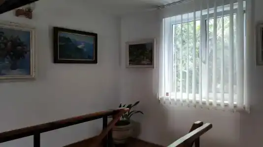Афалина - 49
