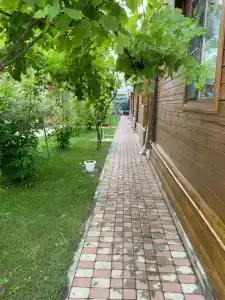 Солнечный Остров - 52