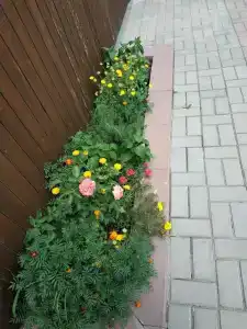 Крепость - 65