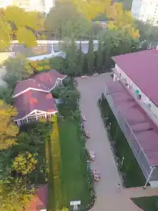 Фламинго - 30