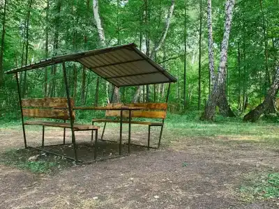 Березка - 11