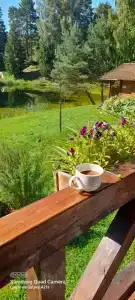 Усадьба Запруднево - 36