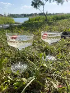 Белый дом - 4