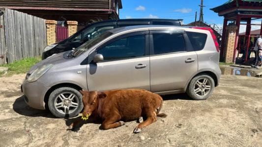 Порт Ольхон - 83