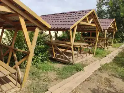 Виста - 49
