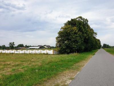 Панский сад - 60