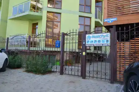 Кактус - 8