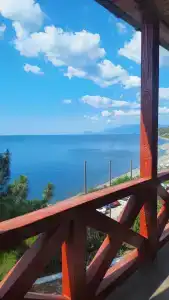 Багира - 29