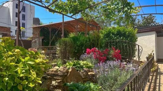 Дельфиния - 17