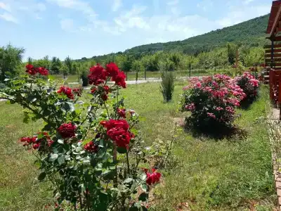 Винодельня Варнаутка - 6